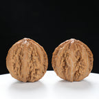 “Wild Qinling Thick-Ridge” nature.Eight-Ridge Lantern Qinling Qiuzi (Autumn Walnut) Wenwan Pair | Size:39L*38W*39H | UPI:UR-00139