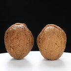“Fortune Ingot” Flat Ingot Toad-Belly Yunnan Iron Wenwan Walnuts Pair | Size:32L*40W*38H | UPI:UR-00143