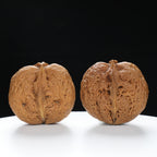 “Fortune Ingot” Flat Ingot Toad-Belly Yunnan Iron Wenwan Walnuts Pair | Size:32L*40W*38H | UPI:UR-00143