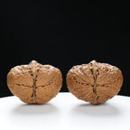 “Fortune Ingot” Flat Ingot Toad-Belly Yunnan Iron Wenwan Walnuts Pair | Size:32L*40W*38H | UPI:UR-00143