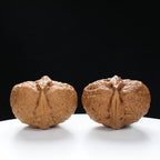 “Fortune Ingot” Flat Ingot Toad-Belly Yunnan Iron Wenwan Walnuts Pair | Size:32L*40W*38H | UPI:UR-00143