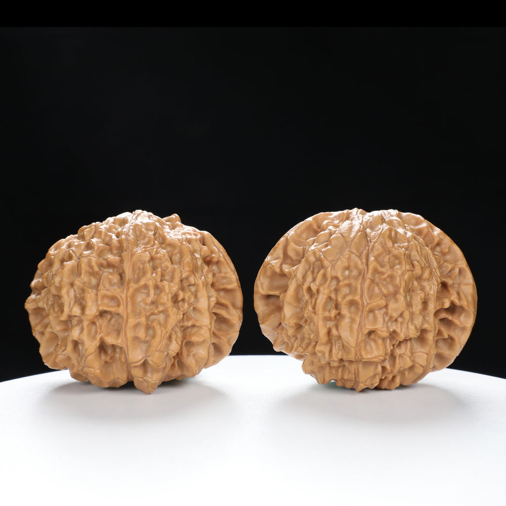 "Snake Head" Collector's Rare Large Size Cobra Snake Head Treasure Basin Hand-Matched Wenwan Walnuts Pair | Size:51L*30W*36H | UPI:UR-00141