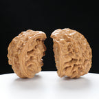 "Snake Head" Collector's Rare Large Size Cobra Snake Head Treasure Basin Hand-Matched Wenwan Walnuts Pair | Size:51L*30W*36H | UPI:UR-00141
