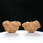 "Snake Head" Collector's Rare Large Size Cobra Snake Head Treasure Basin Hand-Matched Wenwan Walnuts Pair | Size:51L*30W*36H | UPI:UR-00141