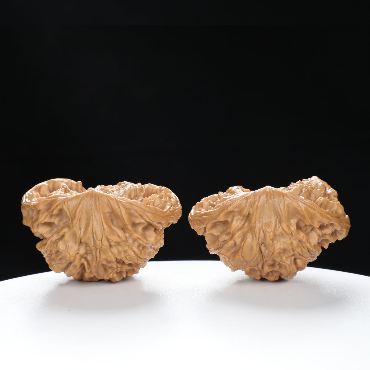 "Snake Head" Collector's Rare Large Size Cobra Snake Head Treasure Basin Hand-Matched Wenwan Walnuts Pair | Size:51L*30W*36H | UPI:UR-00141