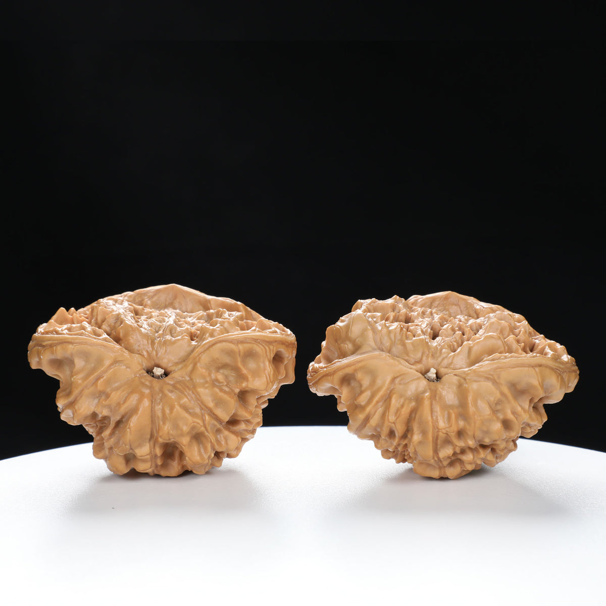 "Snake Head" Collector's Rare Large Size Cobra Snake Head Treasure Basin Hand-Matched Wenwan Walnuts Pair | Size:51L*30W*36H | UPI:UR-00141