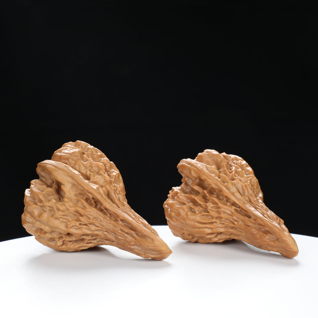 “Platypus” Natural Large Platypus-Shaped Irregular Wenwan Walnuts Pair | Size:34L*36W*54H | UPI:UR-00140