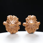 “Platypus” Natural Large Platypus-Shaped Irregular Wenwan Walnuts Pair | Size:34L*36W*54H | UPI:UR-00140
