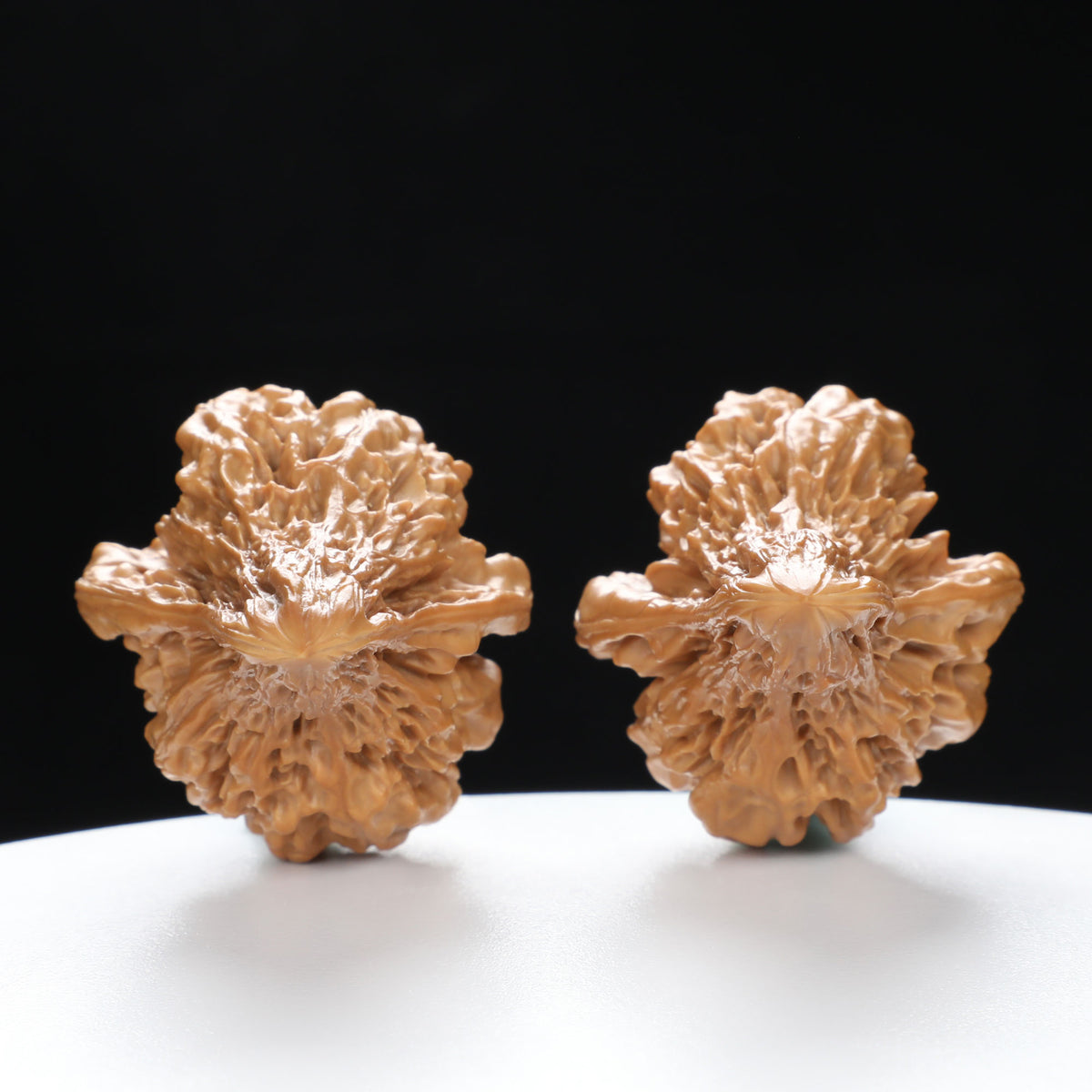 “Platypus” Natural Large Platypus-Shaped Irregular Wenwan Walnuts Pair | Size:34L*36W*54H | UPI:UR-00140