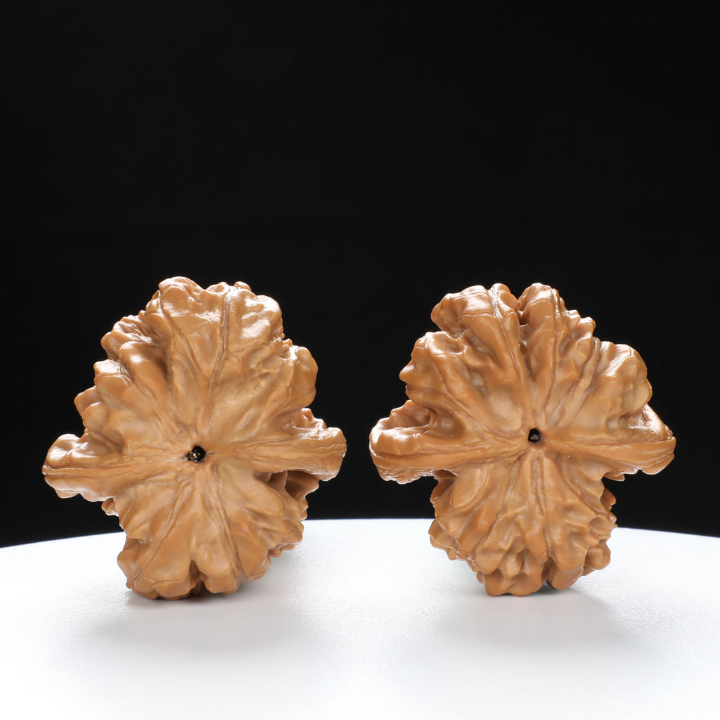 “Platypus” Natural Large Platypus-Shaped Irregular Wenwan Walnuts Pair | Size:34L*36W*54H | UPI:UR-00140