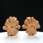 “Platypus” Natural Large Platypus-Shaped Irregular Wenwan Walnuts Pair | Size:34L*36W*54H | UPI:UR-00140