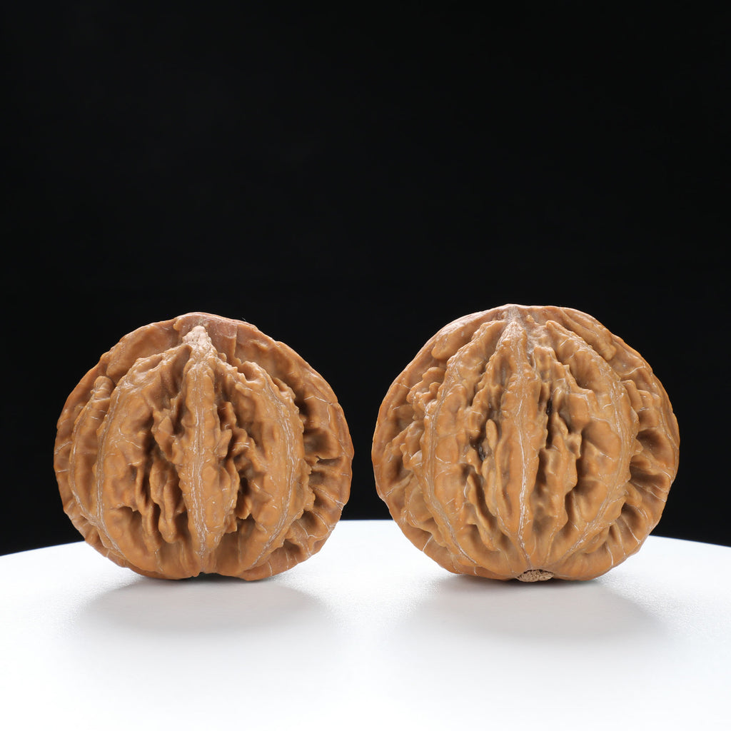 “Wild Qinling Thick-Ridge” nature.Eight-Ridge Lantern Qinling Qiuzi (Autumn Walnut) Wenwan Pair | Size:42L*38W*38H | UPI:UR-00137