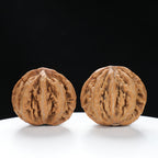 “Wild Qinling Thick-Ridge” nature.Eight-Ridge Lantern Qinling Qiuzi (Autumn Walnut) Wenwan Pair | Size:42L*38W*38H | UPI:UR-00137