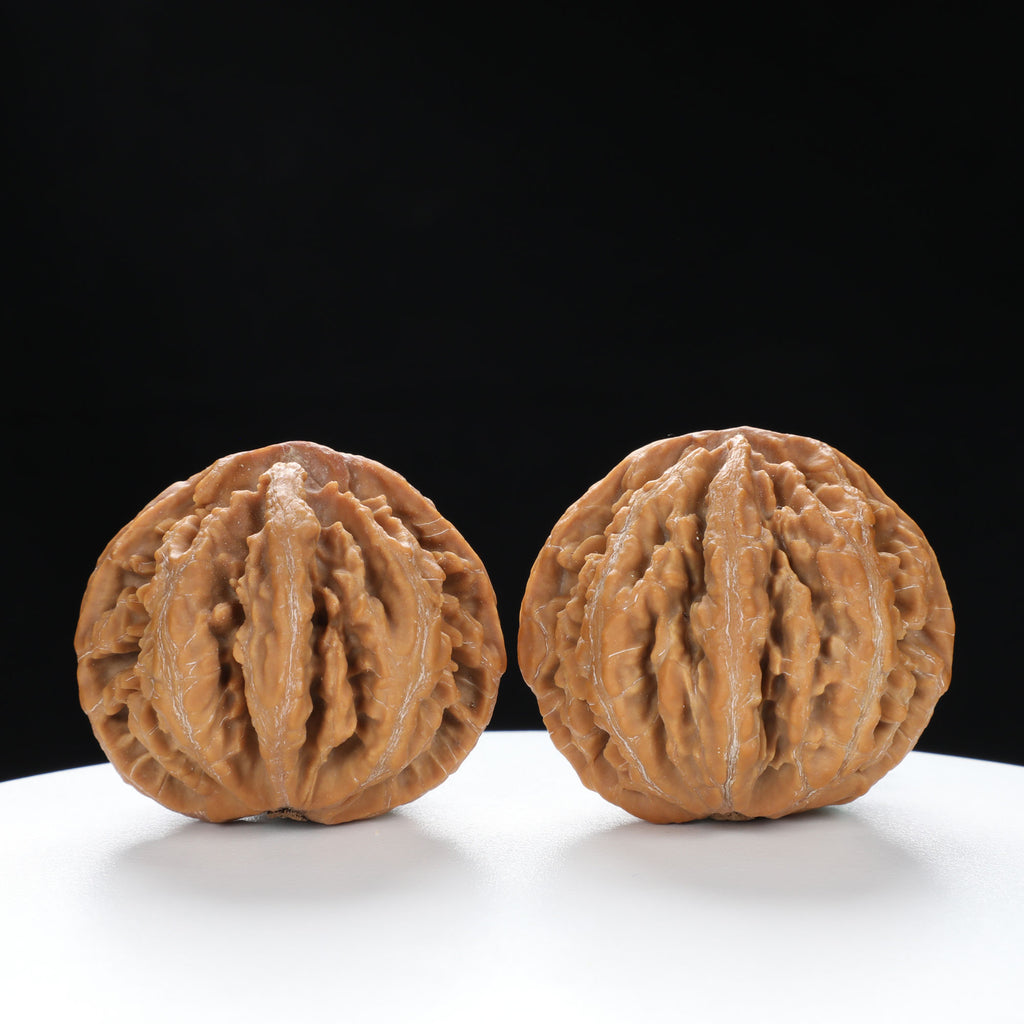 “Wild Qinling Thick-Ridge” nature.Eight-Ridge Lantern Qinling Qiuzi (Autumn Walnut) Wenwan Pair | Size:42L*38W*38H | UPI:UR-00137