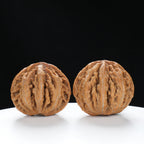 “Wild Qinling Thick-Ridge” nature.Eight-Ridge Lantern Qinling Qiuzi (Autumn Walnut) Wenwan Pair | Size:42L*38W*38H | UPI:UR-00137