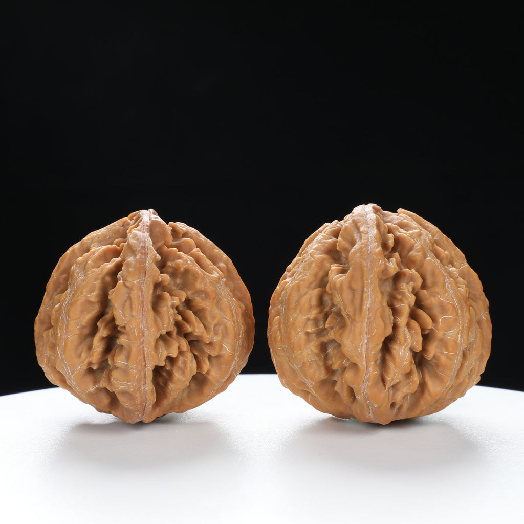 “Wild Qinling Thick-Ridge” nature.Eight-Ridge Lantern Qinling Qiuzi (Autumn Walnut) Wenwan Pair | Size:42L*38W*38H | UPI:UR-00137