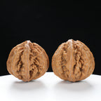 “Wild Qinling Thick-Ridge” nature.Eight-Ridge Lantern Qinling Qiuzi (Autumn Walnut) Wenwan Pair | Size:42L*38W*38H | UPI:UR-00137