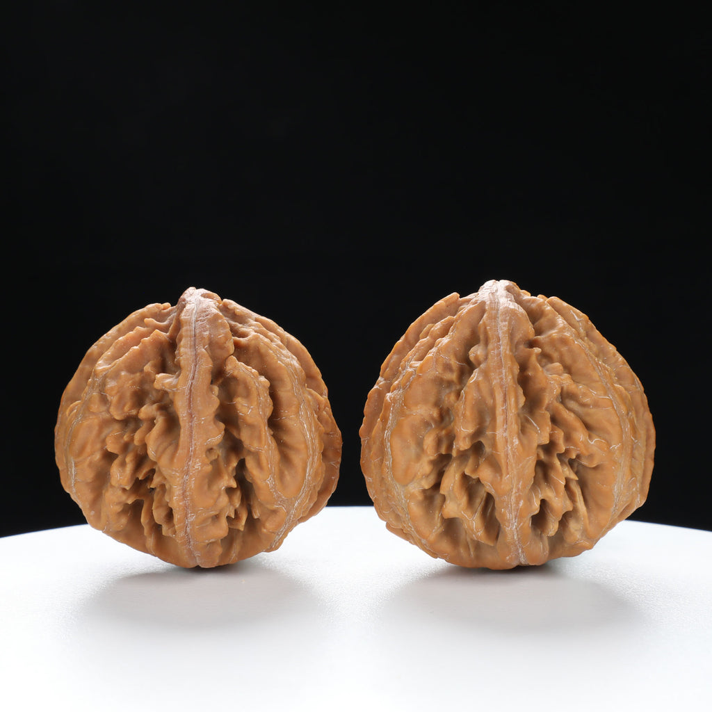“Wild Qinling Thick-Ridge” nature.Eight-Ridge Lantern Qinling Qiuzi (Autumn Walnut) Wenwan Pair | Size:42L*38W*38H | UPI:UR-00137