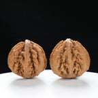 “Wild Qinling Thick-Ridge” nature.Eight-Ridge Lantern Qinling Qiuzi (Autumn Walnut) Wenwan Pair | Size:42L*38W*38H | UPI:UR-00137