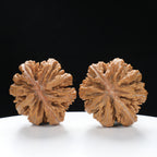 “Wild Qinling Thick-Ridge” nature.Eight-Ridge Lantern Qinling Qiuzi (Autumn Walnut) Wenwan Pair | Size:42L*38W*38H | UPI:UR-00137