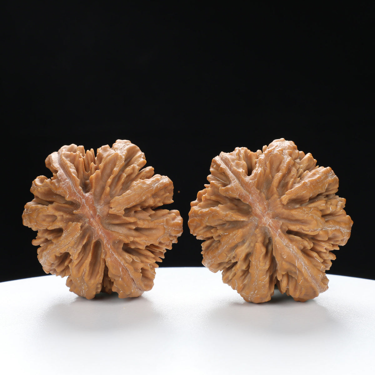 “Wild Qinling Thick-Ridge” nature.Eight-Ridge Lantern Qinling Qiuzi (Autumn Walnut) Wenwan Pair | Size:42L*38W*38H | UPI:UR-00137
