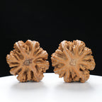 “Wild Qinling Thick-Ridge” nature.Eight-Ridge Lantern Qinling Qiuzi (Autumn Walnut) Wenwan Pair | Size:42L*38W*38H | UPI:UR-00137