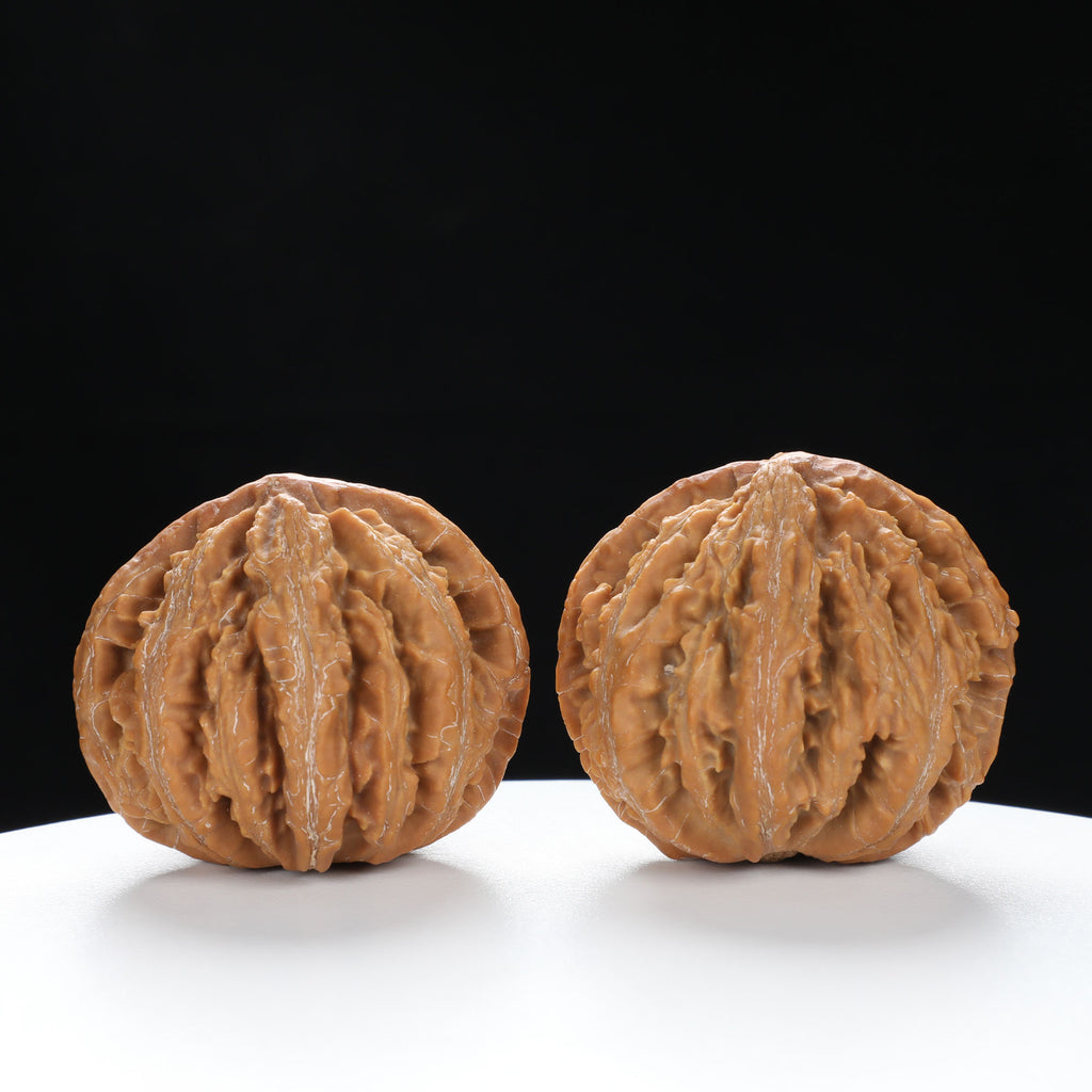 “Wild Qinling Thick-Ridge” nature.Eight-Ridge Lantern Qinling Qiuzi (Autumn Walnut) Wenwan Pair | Size:42L*38W*38H | UPI:UR-00138