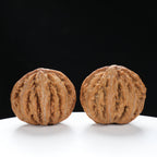 “Wild Qinling Thick-Ridge” nature.Eight-Ridge Lantern Qinling Qiuzi (Autumn Walnut) Wenwan Pair | Size:42L*38W*38H | UPI:UR-00138