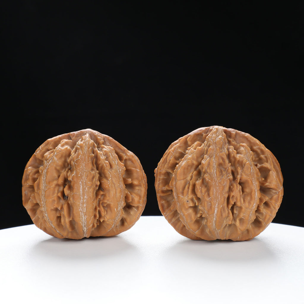 “Wild Qinling Thick-Ridge” nature.Eight-Ridge Lantern Qinling Qiuzi (Autumn Walnut) Wenwan Pair | Size:42L*38W*38H | UPI:UR-00138