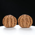 “Wild Qinling Thick-Ridge” nature.Eight-Ridge Lantern Qinling Qiuzi (Autumn Walnut) Wenwan Pair | Size:42L*38W*38H | UPI:UR-00138