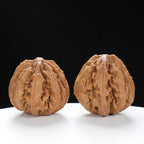 “Wild Qinling Thick-Ridge” nature.Eight-Ridge Lantern Qinling Qiuzi (Autumn Walnut) Wenwan Pair | Size:42L*38W*38H | UPI:UR-00138