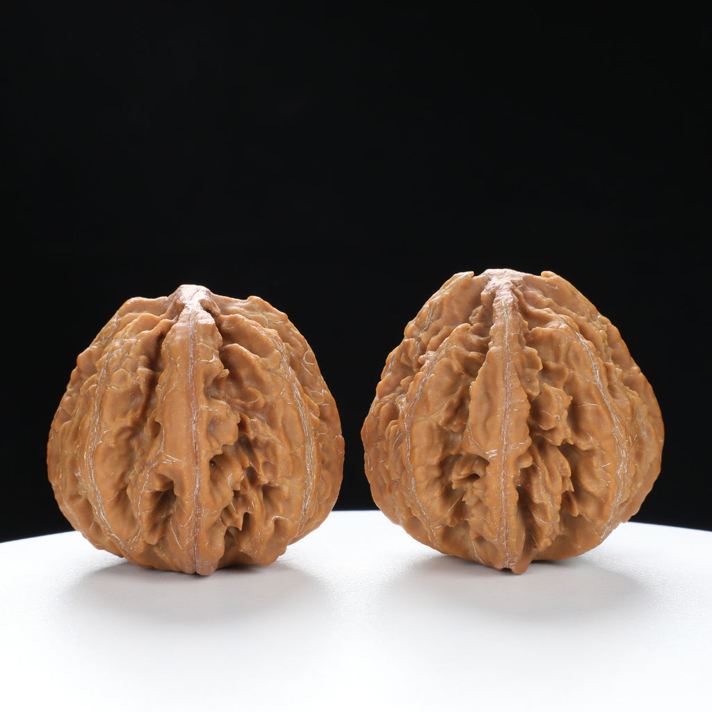 “Wild Qinling Thick-Ridge” nature.Eight-Ridge Lantern Qinling Qiuzi (Autumn Walnut) Wenwan Pair | Size:42L*38W*38H | UPI:UR-00138