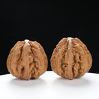 “Wild Qinling Thick-Ridge” nature.Eight-Ridge Lantern Qinling Qiuzi (Autumn Walnut) Wenwan Pair | Size:42L*38W*38H | UPI:UR-00138