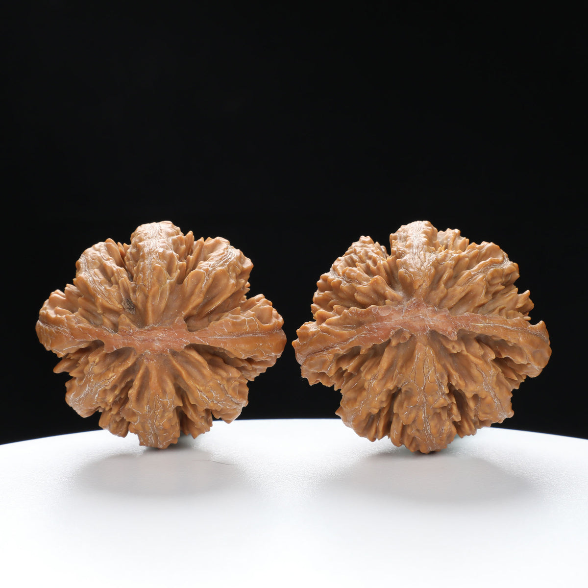 “Wild Qinling Thick-Ridge” nature.Eight-Ridge Lantern Qinling Qiuzi (Autumn Walnut) Wenwan Pair | Size:42L*38W*38H | UPI:UR-00138
