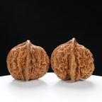 “Three-Ridged” Collector's Grade Extremely Rare Half-Wall Triple-Ridge Matched Walnuts Pair | Size:40L*32W*38H | UPI:UR-00142