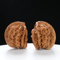 “Three-Ridged” Collector's Grade Extremely Rare Half-Wall Triple-Ridge Matched Walnuts Pair | Size:40L*32W*38H | UPI:UR-00142