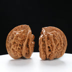 “Three-Ridged” Collector's Grade Extremely Rare Half-Wall Triple-Ridge Matched Walnuts Pair | Size:40L*32W*38H | UPI:UR-00142