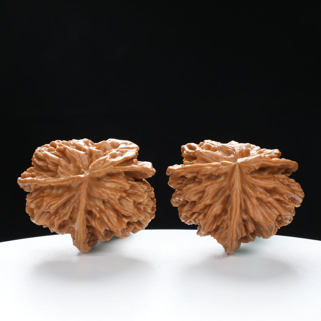 “Three-Ridged” Collector's Grade Extremely Rare Half-Wall Triple-Ridge Matched Walnuts Pair | Size:40L*32W*38H | UPI:UR-00142
