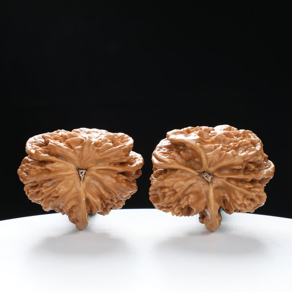 “Three-Ridged” Collector's Grade Extremely Rare Half-Wall Triple-Ridge Matched Walnuts Pair | Size:40L*32W*38H | UPI:UR-00142