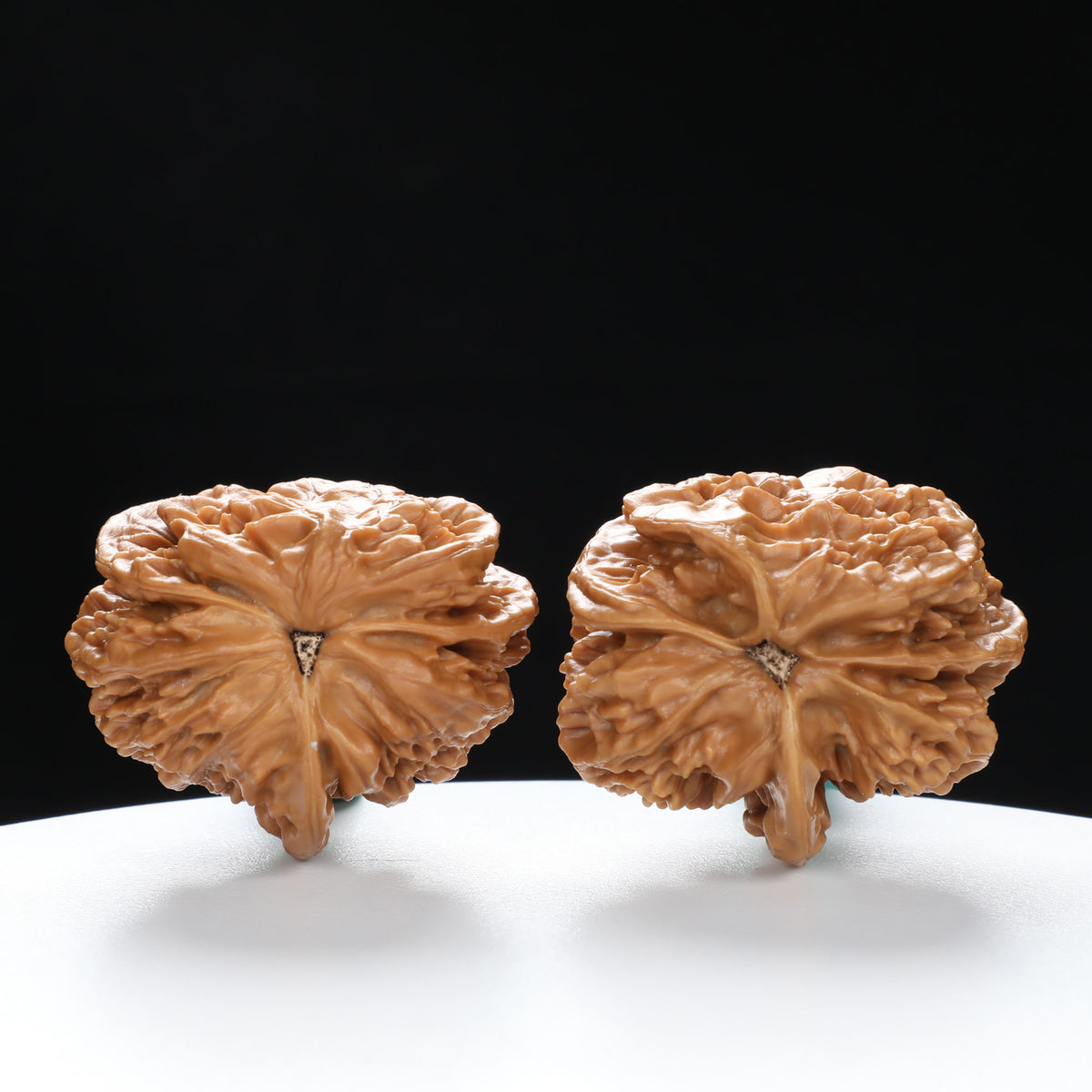 “Three-Ridged” Collector's Grade Extremely Rare Half-Wall Triple-Ridge Matched Walnuts Pair | Size:40L*32W*38H | UPI:UR-00142