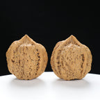 “Three-Ridged” Y-Shaped Totem Texture Natural Triple-Ridge Wenwan Walnuts Pair | Size:34L*39W*41H | UPI:UR-00144
