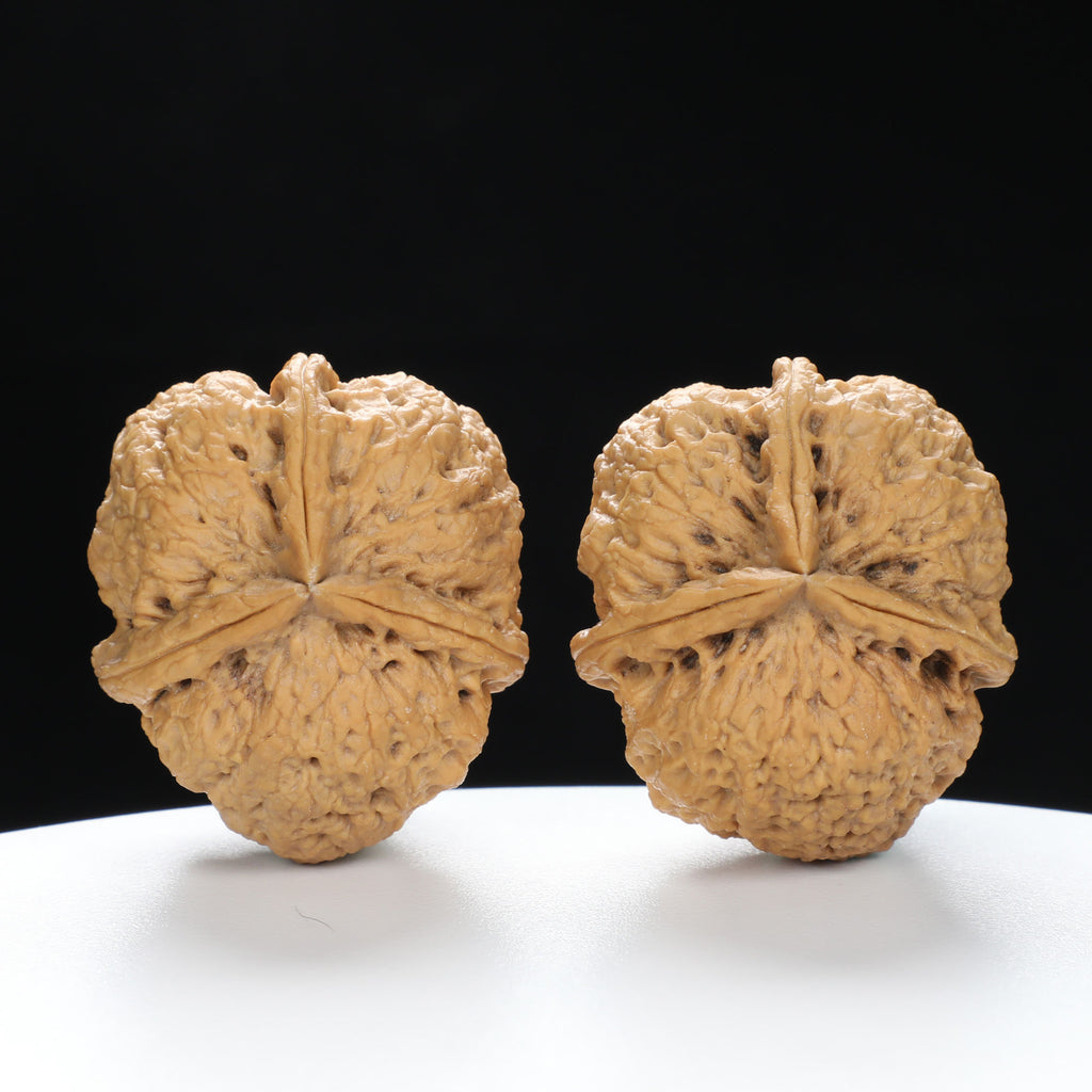 “Three-Ridged” Y-Shaped Totem Texture Natural Triple-Ridge Wenwan Walnuts Pair | Size:34L*39W*41H | UPI:UR-00144