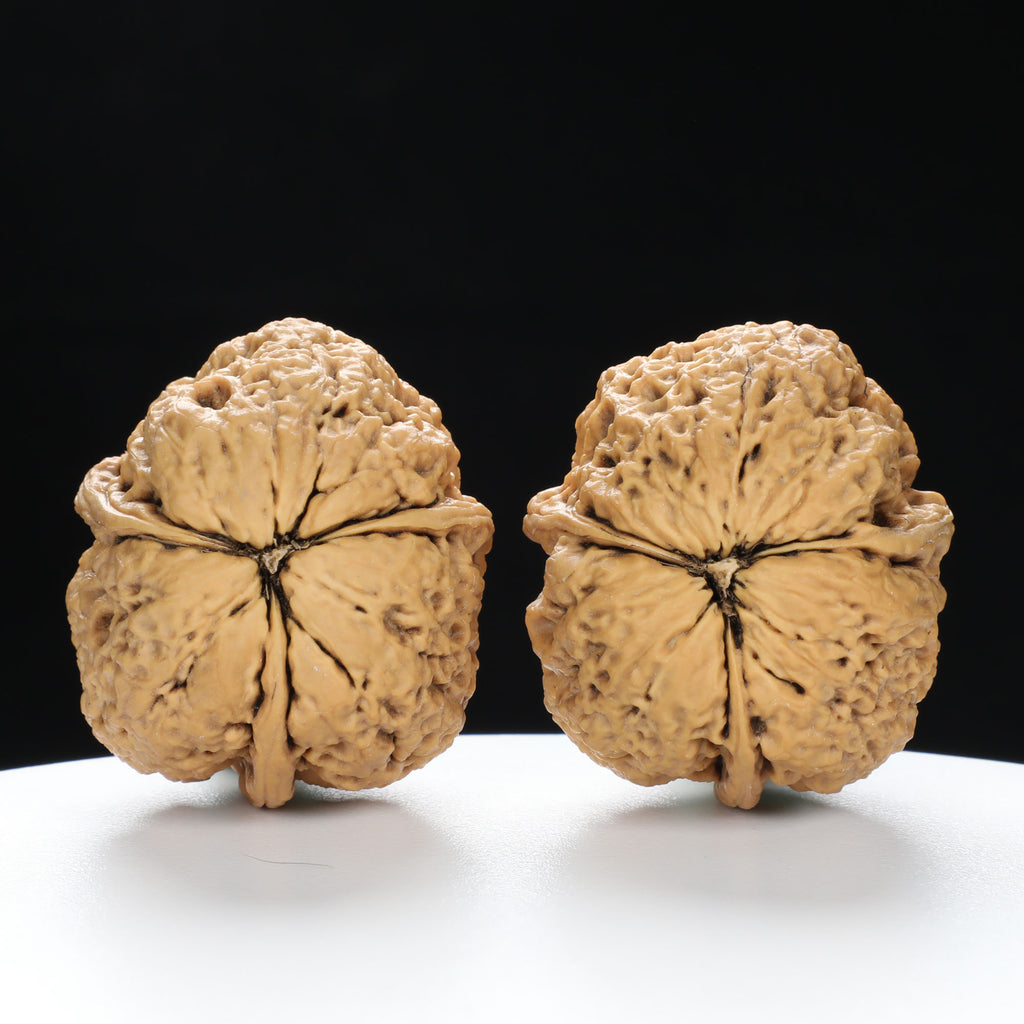 “Three-Ridged” Y-Shaped Totem Texture Natural Triple-Ridge Wenwan Walnuts Pair | Size:34L*39W*41H | UPI:UR-00144