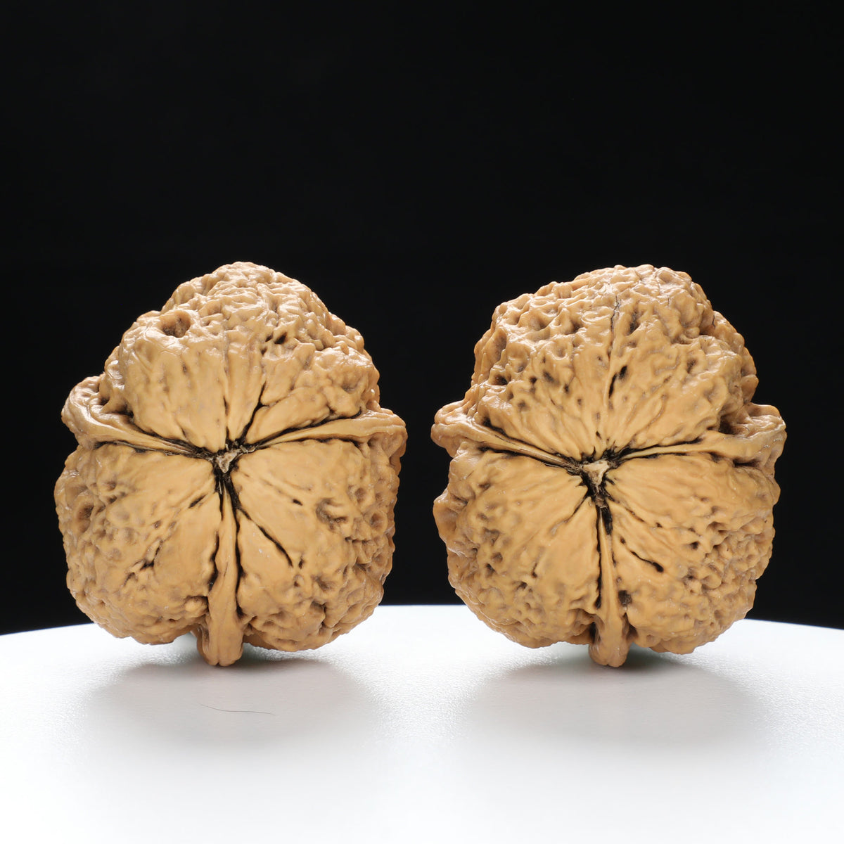 “Three-Ridged” Y-Shaped Totem Texture Natural Triple-Ridge Wenwan Walnuts Pair | Size:34L*39W*41H | UPI:UR-00144