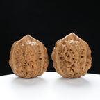“Three-Ridged” Fine Dense Mini Totem Y-Form Triple-Ridge Wenwan Walnuts Pair | Size:34L*34W*38H | UPI:UR-00145