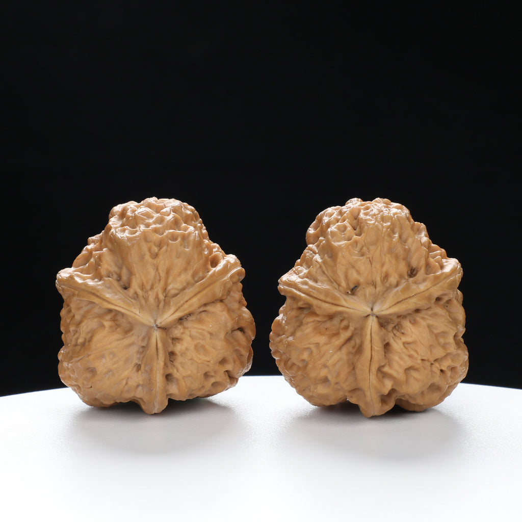“Three-Ridged” Fine Dense Mini Totem Y-Form Triple-Ridge Wenwan Walnuts Pair | Size:34L*34W*38H | UPI:UR-00145