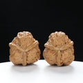 “Three-Ridged” Fine Dense Mini Totem Y-Form Triple-Ridge Wenwan Walnuts Pair | Size:34L*34W*38H | UPI:UR-00145