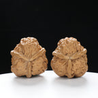 “Three-Ridged” Fine Dense Mini Totem Y-Form Triple-Ridge Wenwan Walnuts Pair | Size:34L*34W*38H | UPI:UR-00145