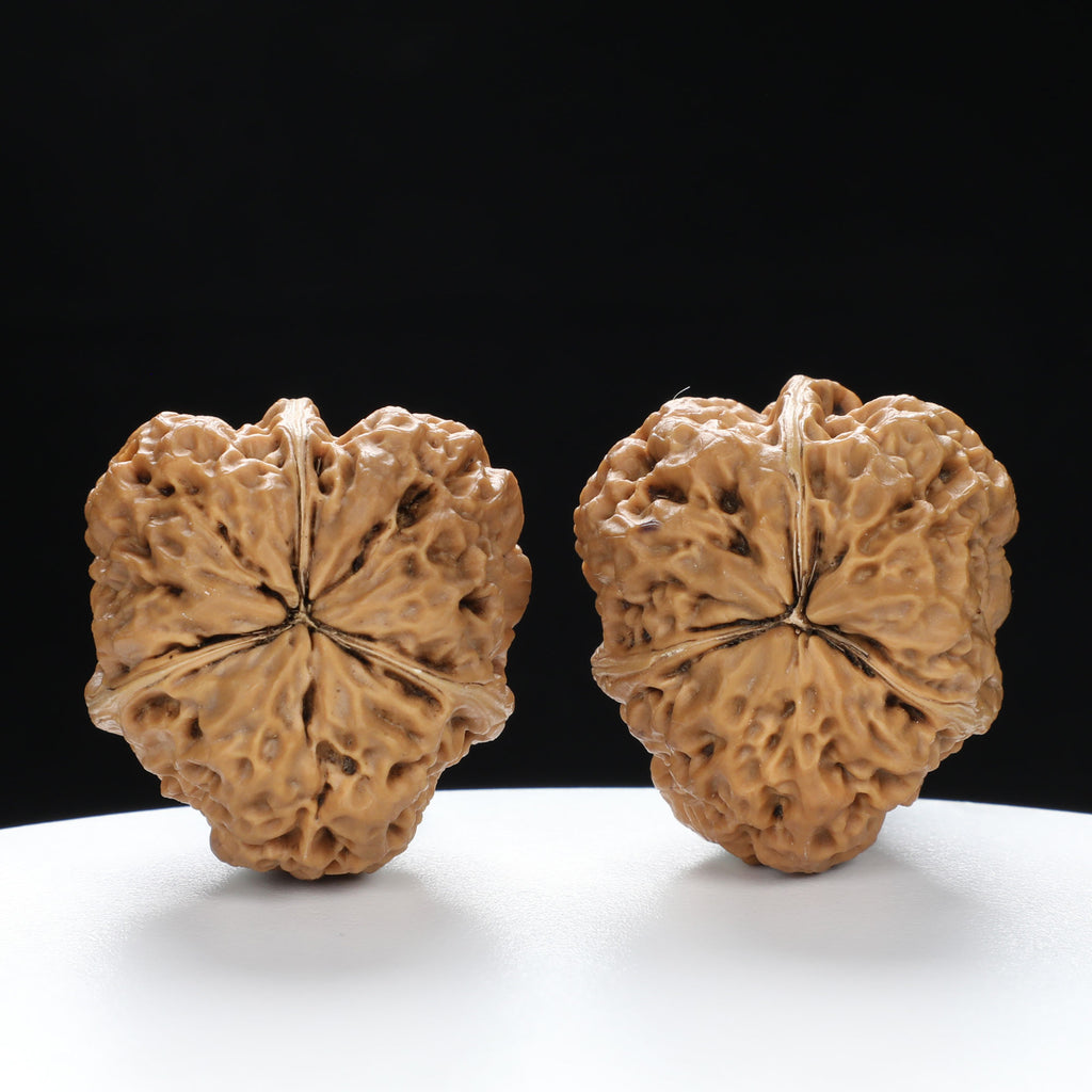“Three-Ridged” Fine Dense Mini Totem Y-Form Triple-Ridge Wenwan Walnuts Pair | Size:34L*34W*38H | UPI:UR-00145