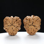 “Three-Ridged” Fine Dense Mini Totem Y-Form Triple-Ridge Wenwan Walnuts Pair | Size:34L*34W*38H | UPI:UR-00145